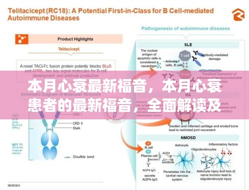 本月心衰患者的福音，全面解读与影响探讨