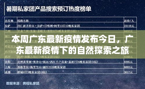 广东最新疫情下的自然探索之旅，寻找内心的宁静与平和本周更新报告