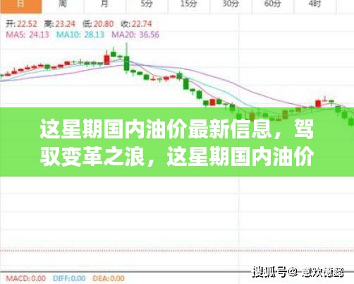 驾驭变革之浪，最新国内油价信息背后的自信与成就感之旅