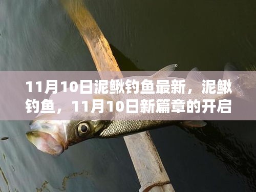 11月10日泥鳅钓鱼新篇章开启，影响深远的新策略与技巧