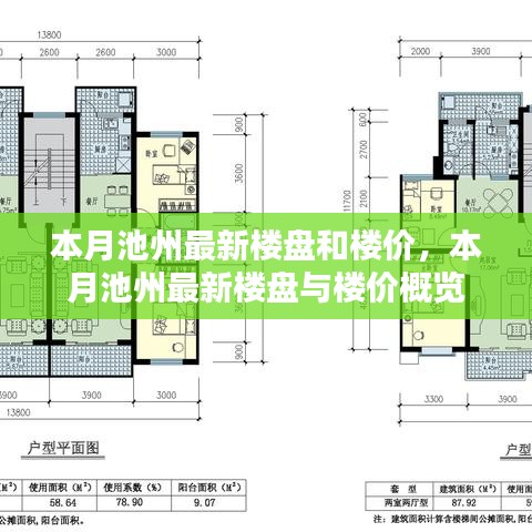 本月池州最新楼盘与楼价概览分析