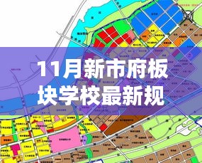 新市府板块学校最新规划深度解析与观点阐述，11月新动向揭秘