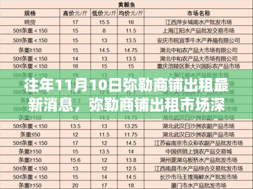 往年11月10日弥勒商铺出租市场动态，深度解析市场现状与未来展望