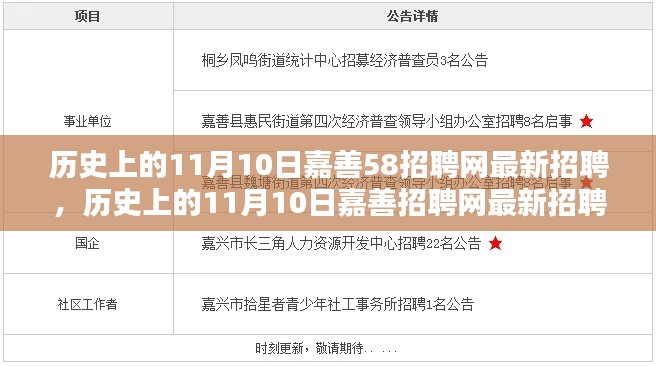 历史上的11月10日嘉善招聘网最新招聘全解析，求职者的必备指南