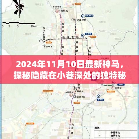 探秘秘境，2024年最新神马特色小店之旅，隐藏小巷深处的独特风情