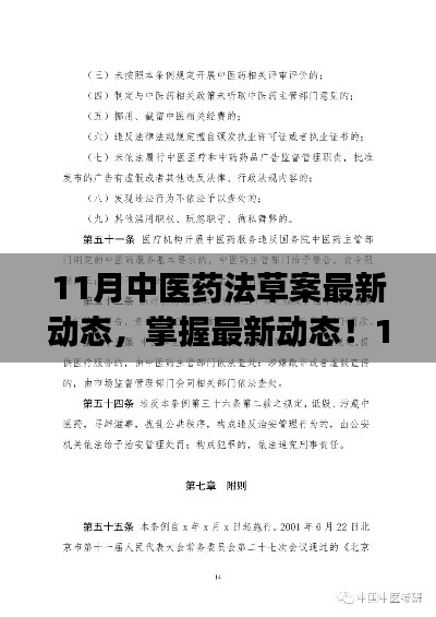 最新动态解析，11月中医药法草案的步骤指南，面向初学者与进阶用户