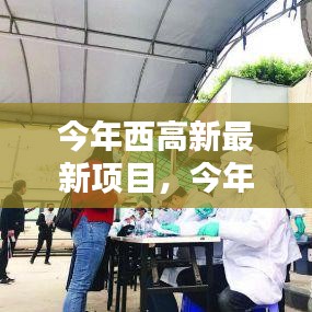 西高新最新项目实操指南，引领你完成任务的步骤详解