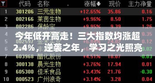 逆袭之年，学习之光照亮成长之路，三大指数齐涨超2.4%的自信启示