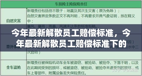 今年最新解散员工赔偿标准及其多维度探讨解析