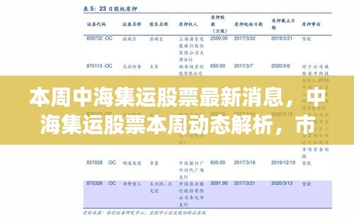 中海集运股票最新动态解析，市场走势下的多元视角与个人立场探讨