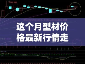 本月型材价格行情走势深度解析与最新市场动态报告