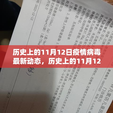 历史上的11月12日疫情病毒最新动态，全面步骤指南，适用于所有水平的用户