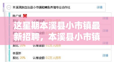 本溪县小市镇最新招聘详解，特性、体验、竞品对比及目标用户分析评测报告