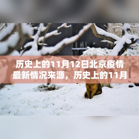 历史上的11月12日北京疫情深度解析，回顾、现状与深远影响