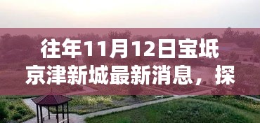 探秘宝坻京津新城，小巷深处的独特风味——最新11月12日更新消息