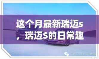 瑞迈S的日常趣事，友情、家庭与温馨的本月新篇章