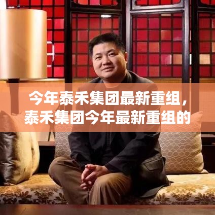 泰禾集团最新重组深度解析，机遇与挑战并存