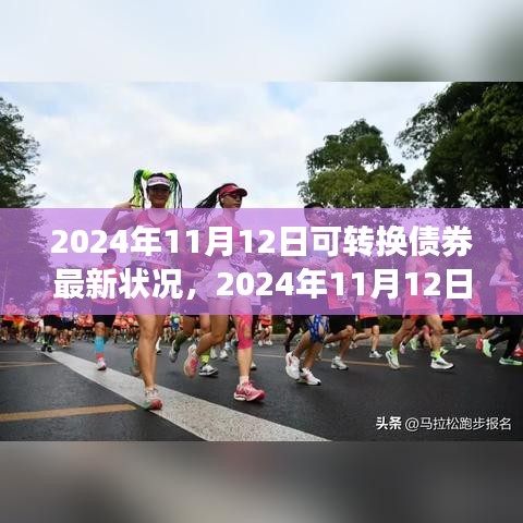 自然美景之旅的心灵充电，揭秘2024年11月可转换债券最新动态