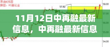 11月12日中再融最新信息深度解析，里程碑事件的时代影响