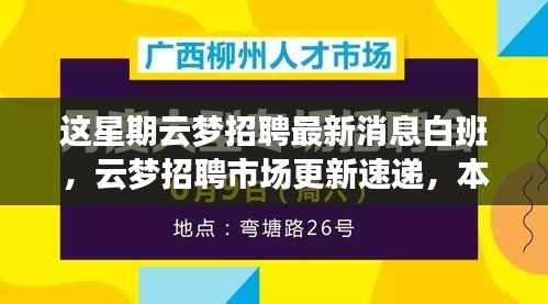 本周云梦招聘市场速递，白班最新招聘信息解析与动态更新