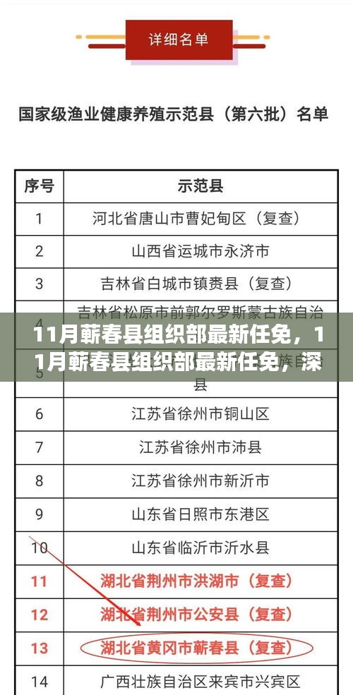 11月蕲春县组织部最新任免，深度解析影响与意义