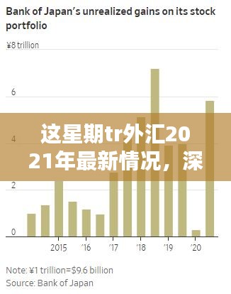 深度解析与用户体验报告，2021年TR外汇最新情况全面介绍及本周市场动态