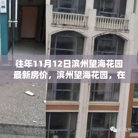 滨州望海花园最新房价探寻，自然美景与心灵之旅同步体验