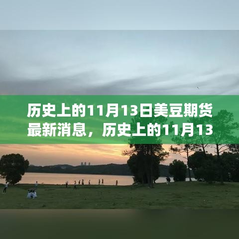 历史上的11月13日美豆期货动态与心灵觉醒的自然美景之旅