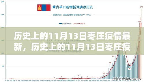 历史上的11月13日枣庄疫情最新动态解析与回顾