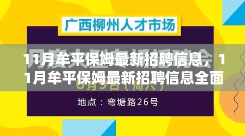 11月牟平保姆最新招聘信息全解析与评测