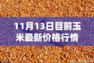 揭秘小巷深处特色小店的最新玉米行情与情缘，最新玉米价格行情报道（11月13日）