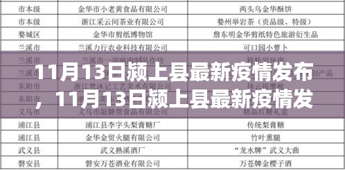 11月13日颍上县疫情最新发布，防控进展及公众应对指南