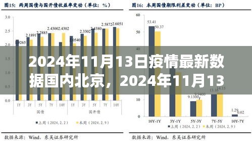 2024年11月13日北京疫情最新数据分析及观点探讨