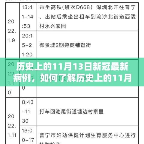 历史上的11月13日新冠最新病例，了解详细步骤指南