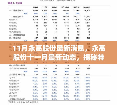 揭秘永高股份在特定领域的最新进展与地位，十一月最新动态报道