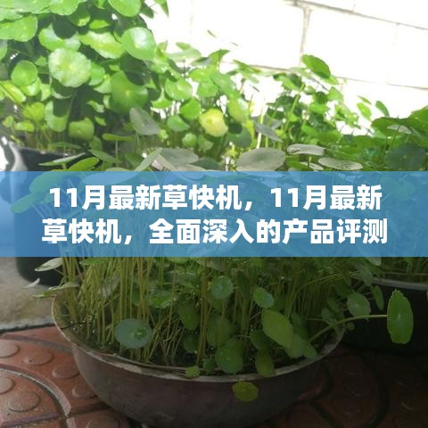 最新草快机产品评测与介绍，全面深入解析