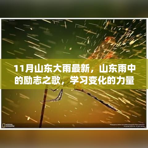 容光焕发 第4页