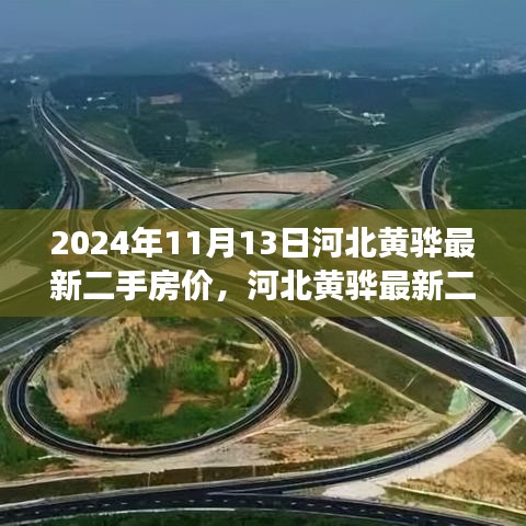 河北黄骅最新二手房价报告，深度解析市场趋势与前景展望（2024年）