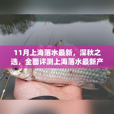 初告白 第5页