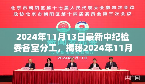 揭秘，2024年11月中纪检委各室最新分工详解，小红书带你深入了解内幕