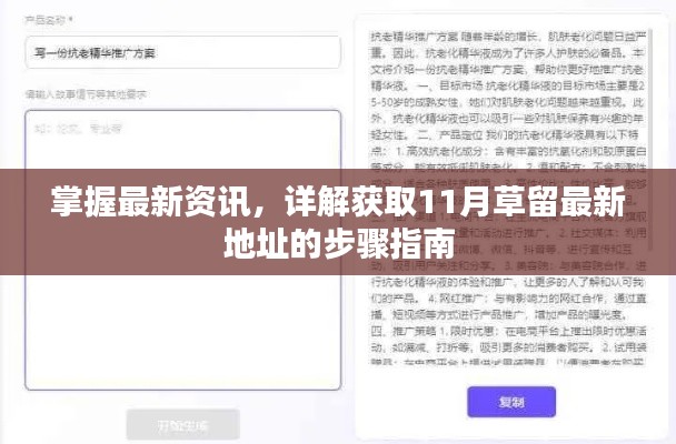 掌握最新资讯，详解获取11月草留最新地址的步骤指南