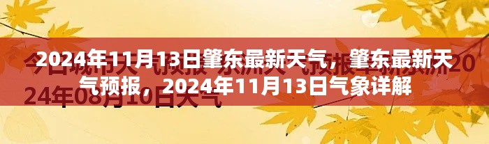 肇东市天气预报，2024年11月13日气象详解及最新天气预报