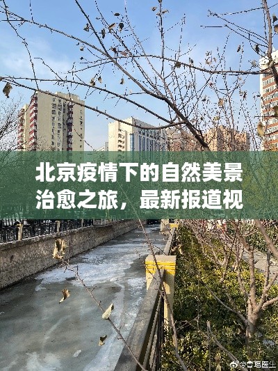 北京疫情下的自然美景治愈之旅，最新报道视频揭秘11月13日疫情状况