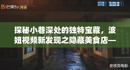 探秘小巷深处的独特宝藏，波妞视频新发现之隐藏美食店——11月13日最新波妞视频回顾