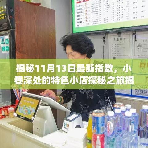 揭秘11月13日最新指数，小巷深处的特色小店探秘之旅揭晓！