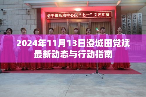 2024年11月13日澄城田党斌最新动态与行动指南