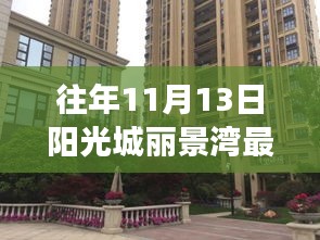 阳光城丽景湾的成长故事，变化中的学习，自信与成就感的绽放——最新消息揭秘往年11月13日动态