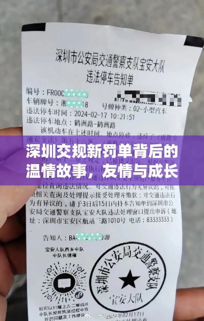 深圳交规新罚单背后的温情故事，友情与成长的日子纪念往年11月13日新规实施