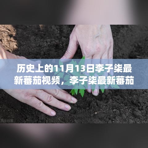 李子柒最新蕃茄视频发布背后的历史脉络深度解读，纪念特殊日期下的文化现象探索