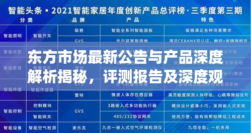 东方市场最新公告与产品深度解析揭秘，评测报告及深度观察（2024年11月13日）